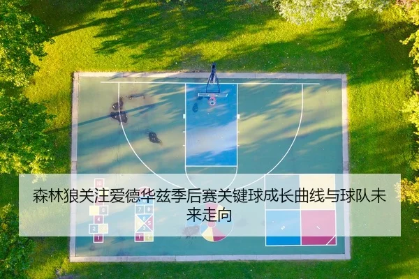 森林狼关注爱德华兹季后赛关键球成长曲线与球队未来走向