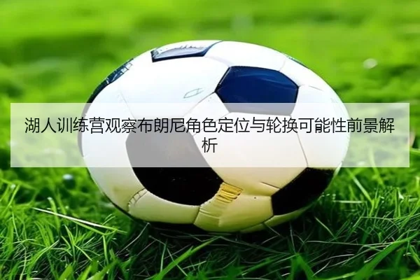 湖人训练营观察布朗尼角色定位与轮换可能性前景解析